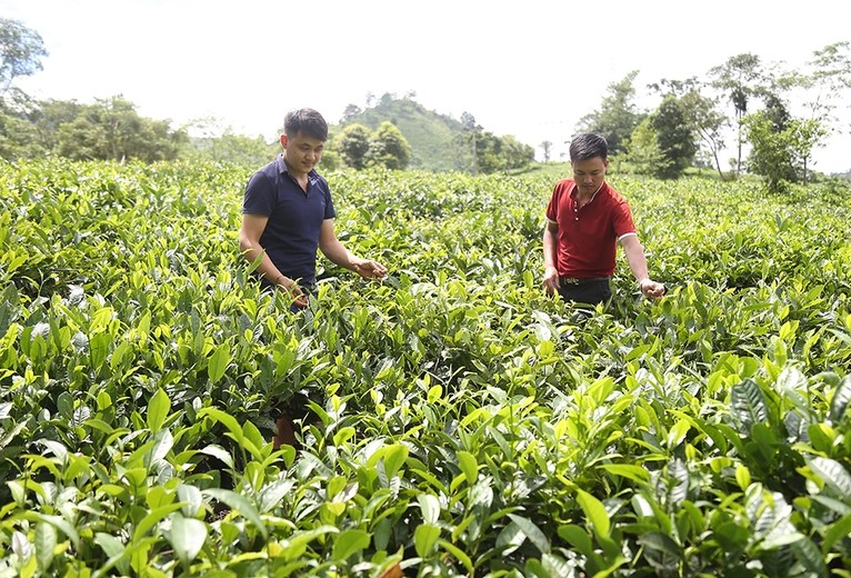 Nông thôn mới trên thung lũng Mường Hum