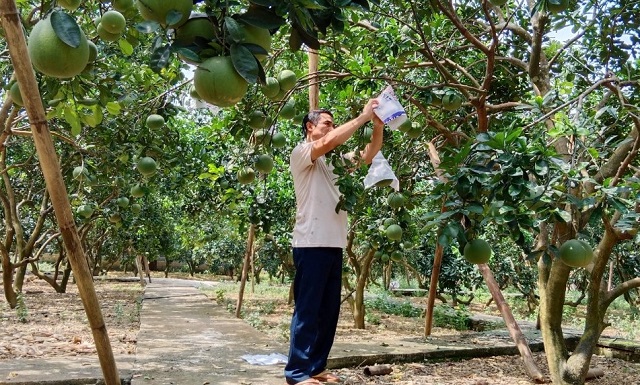 OCOP góp sức xây dựng nông thôn mới Bảo Thắng