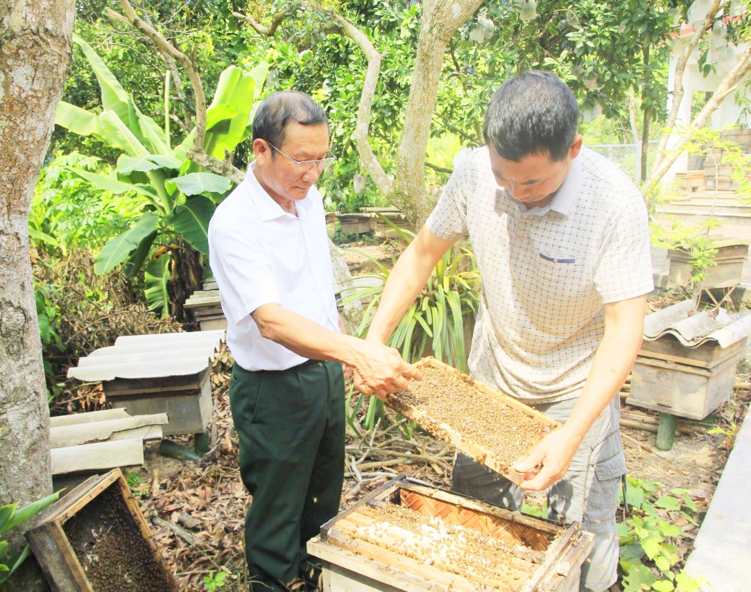 Đổi thay ở 'rốn nghèo' Sơn Động