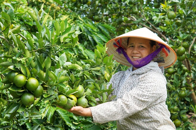 Vì sao Việt Nam mới có 0,6% diện tích đất canh tác hữu cơ?