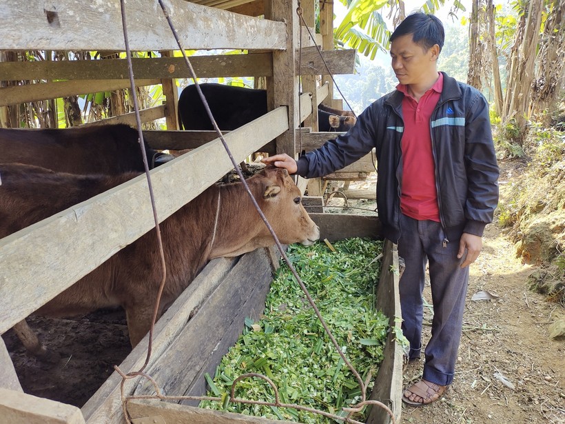 Những cách làm hay làm thức dậy vùng rẻo cao Pác Nặm