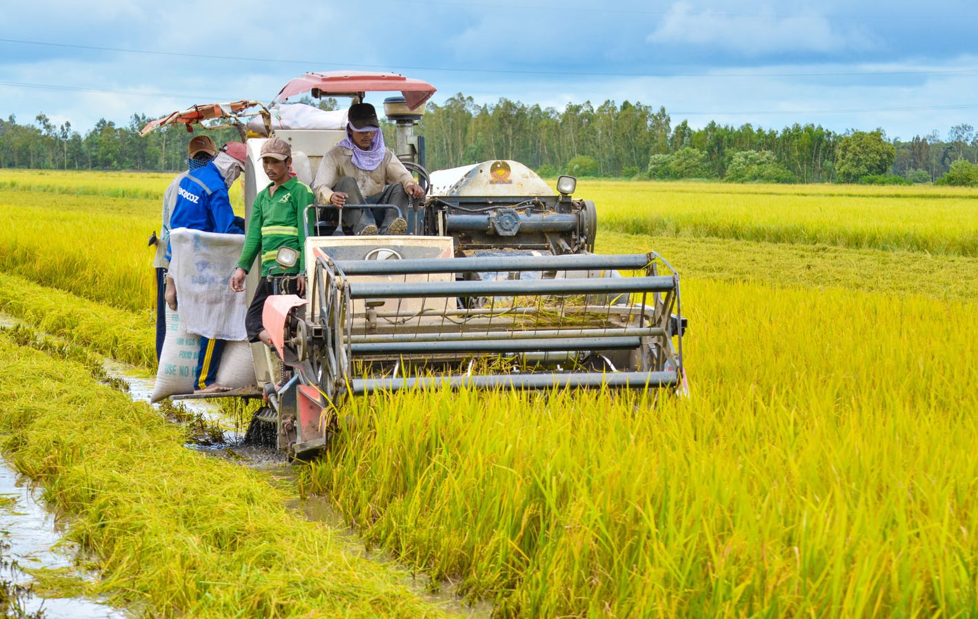Nghịch lý muốn thừa kế đất nông nghiệp phải có giấy xác nhận là... 'nông dân'