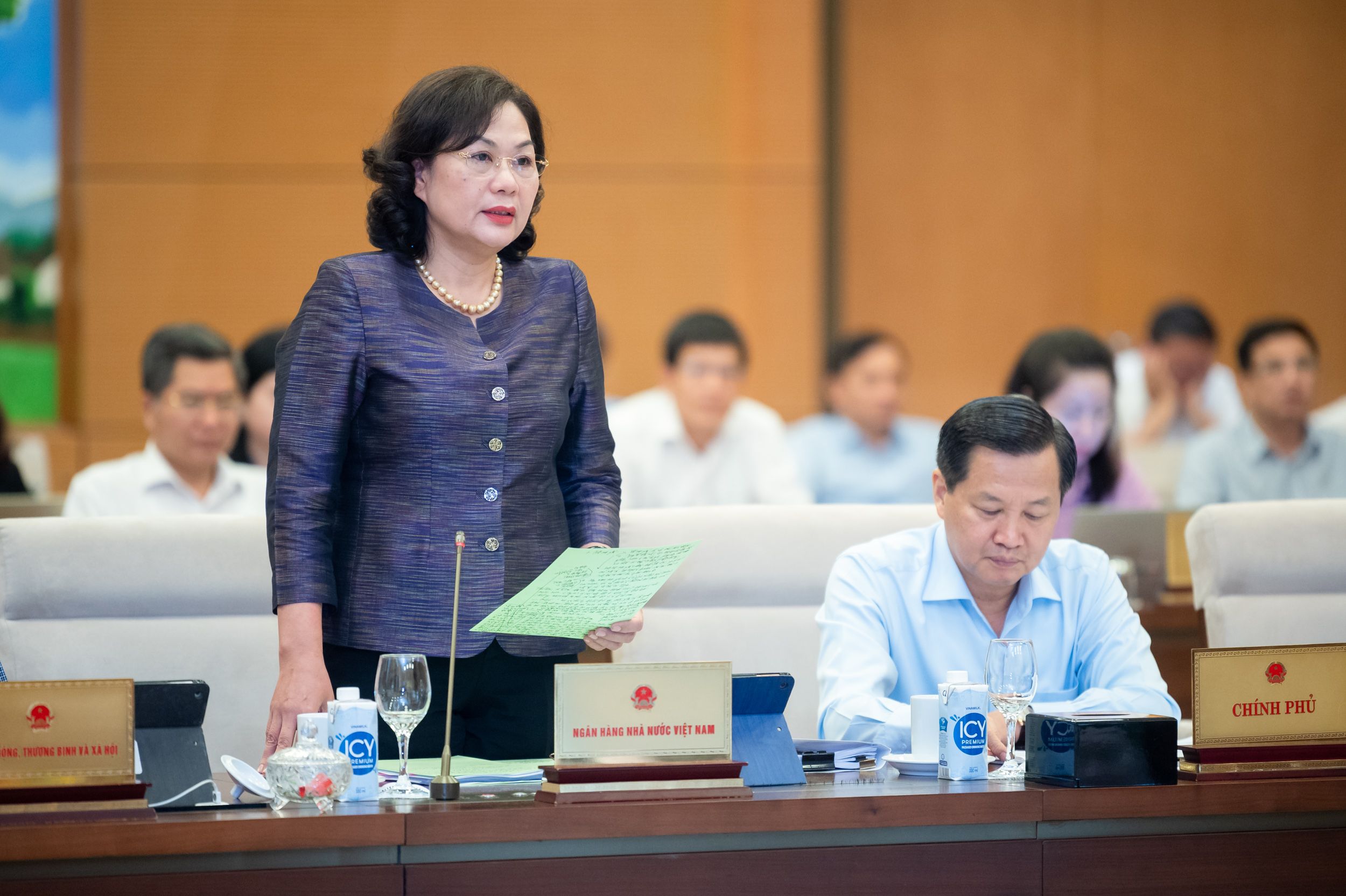Thống đốc giải trình về 'nghịch lý lạm phát thấp, lãi suất cao'