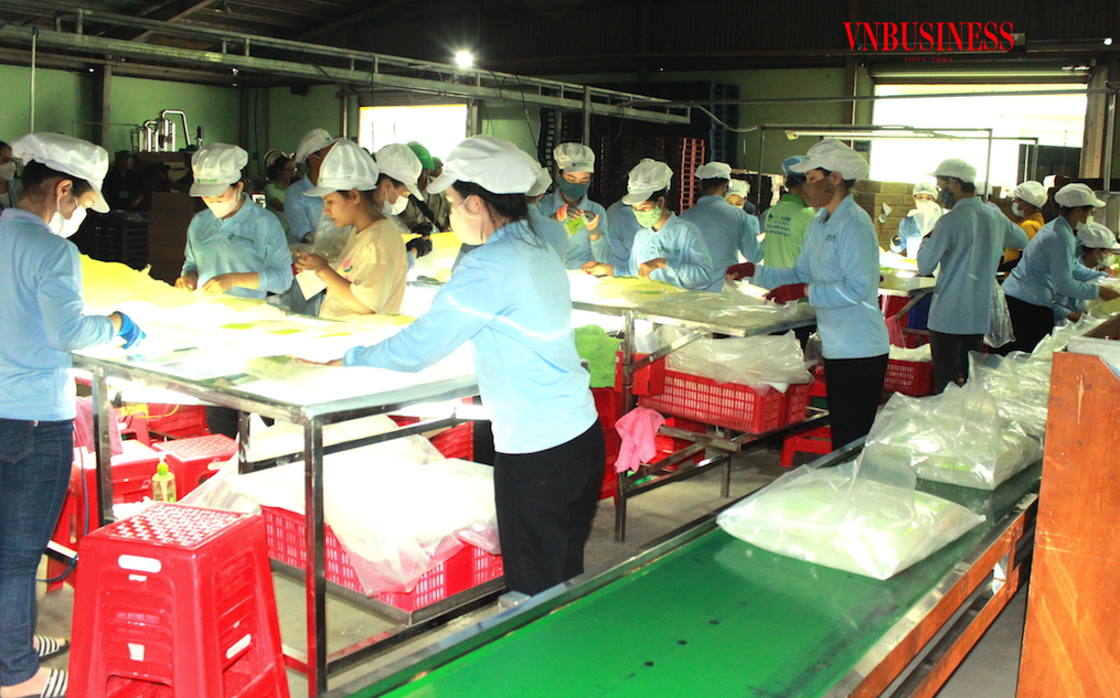 ‘Phép thử’ biến động toàn cầu kéo dài đang thách thức khả năng phục hồi của doanh nghiệp Việt?