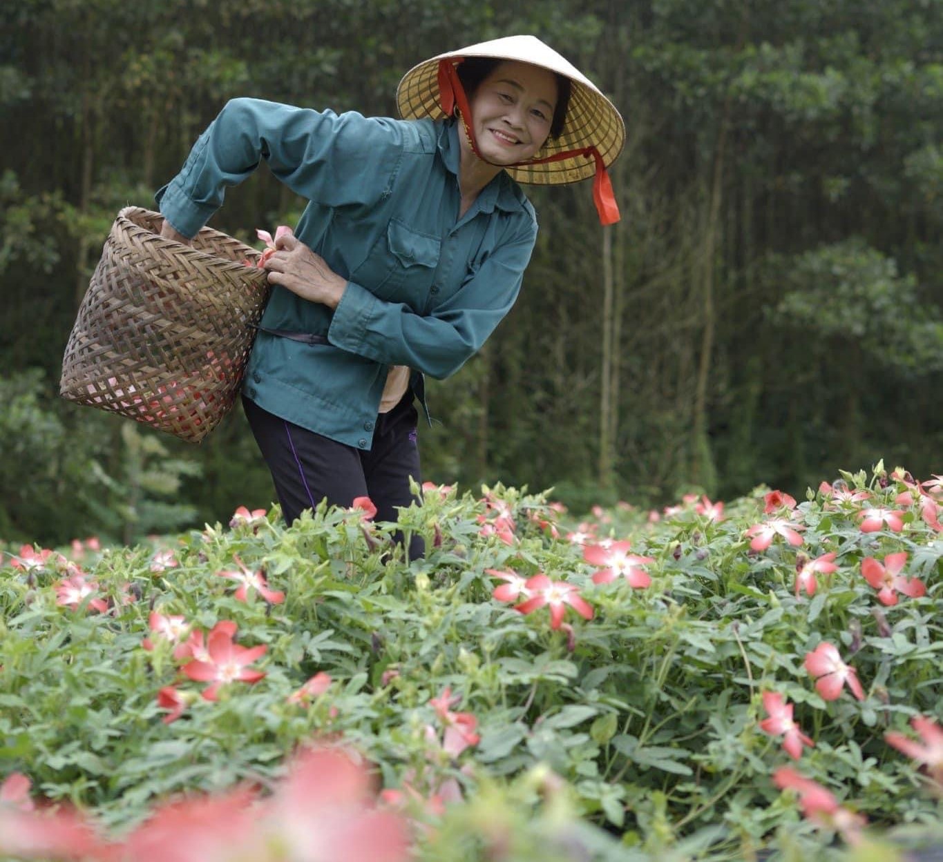 Khi phụ nữ khẳng định bản lĩnh trong phát triển kinh tế tập thể