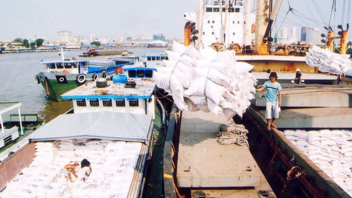 Xuất khẩu gạo lập kỷ lục lịch sử sau 34 năm tham gia thị trường thế giới