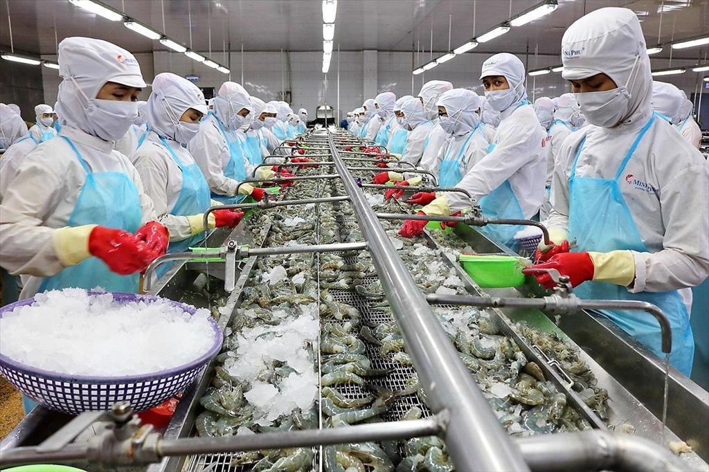 Cần đánh giá lại triển vọng của nhóm cổ phiếu thủy sản?