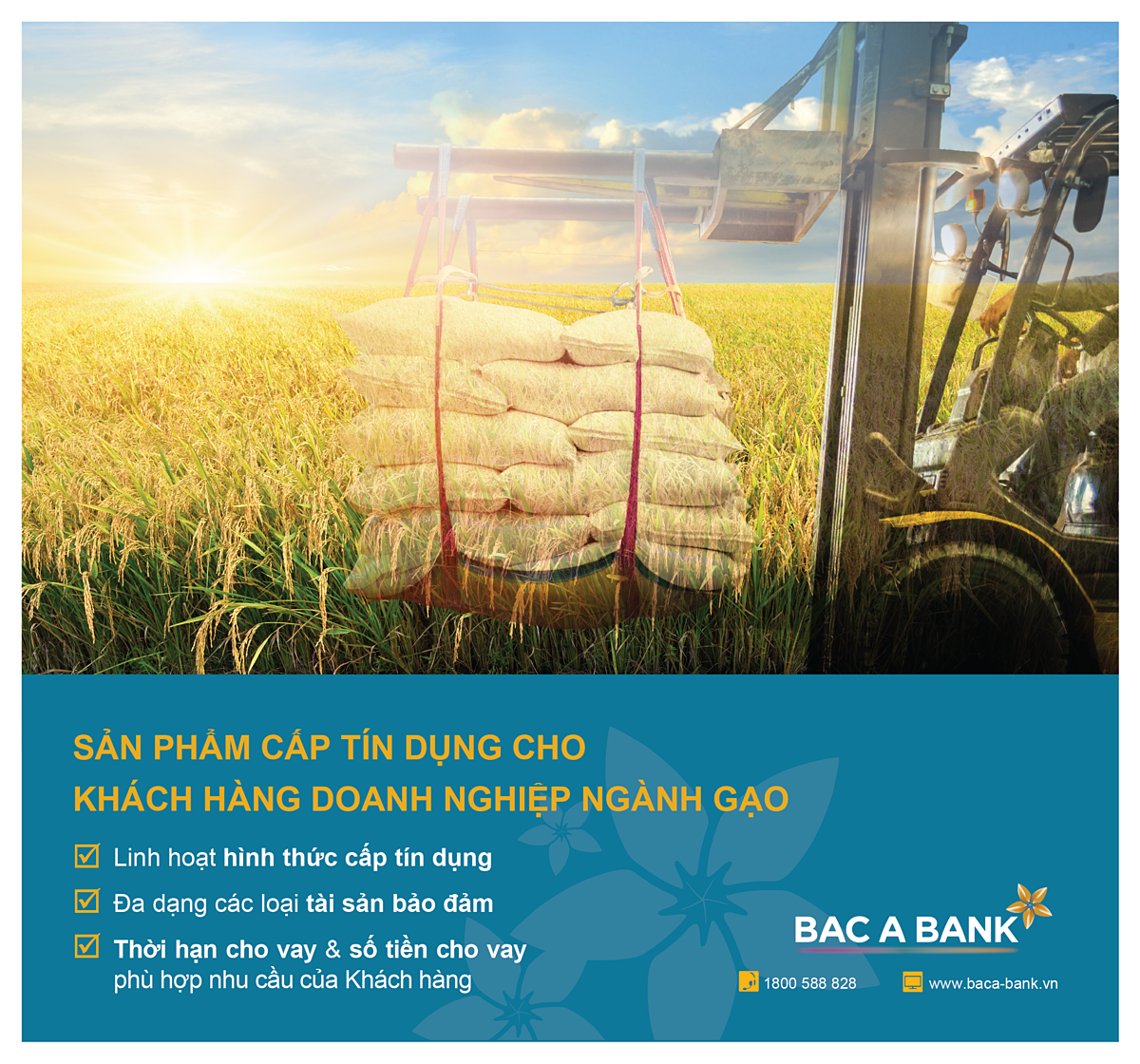 Doanh nghiệp ngành gạo đón 