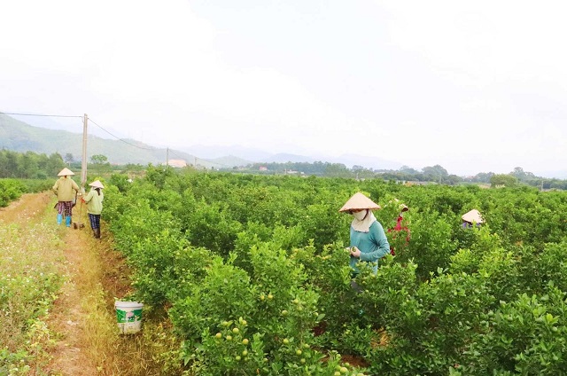 Sức sống mới trong xây dựng NTM kiểu mẫu 'phố trong làng'