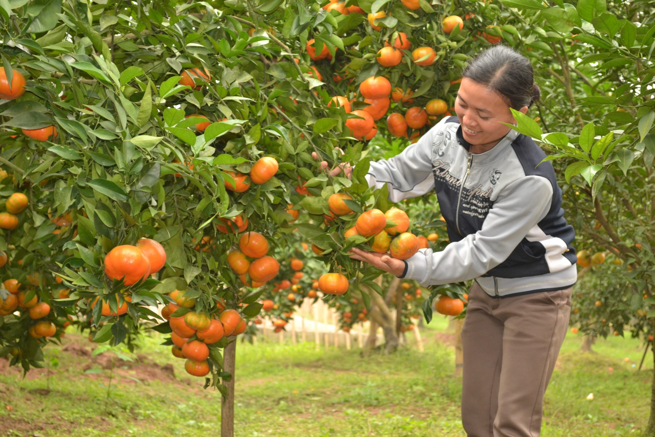 Sắc màu nông thôn mới Thượng Bằng La