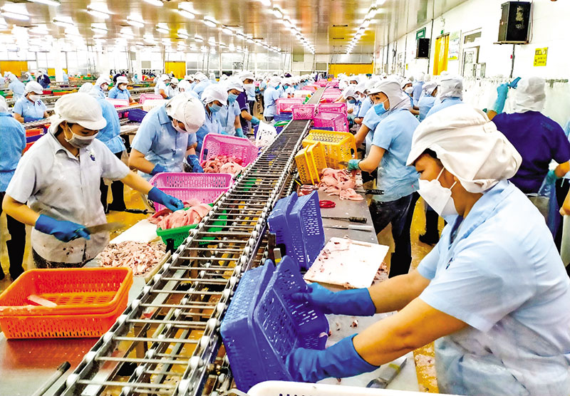Xuất khẩu thuỷ sản thu về gần 7,5 tỷ USD, được thị trường Thuỵ Sĩ ưa chuộng