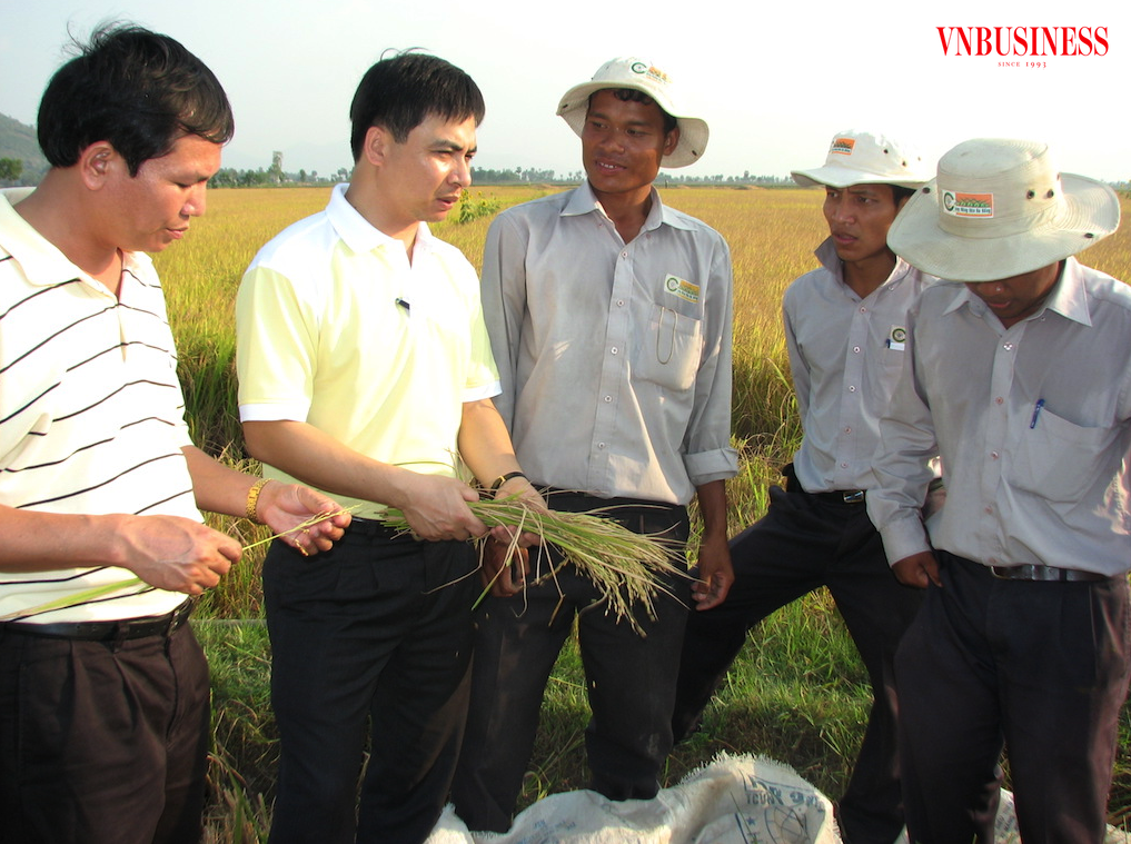Thấy gì từ nghịch lý ‘giá cao, lỗ đậm’ của doanh nghiệp xuất khẩu gạo?