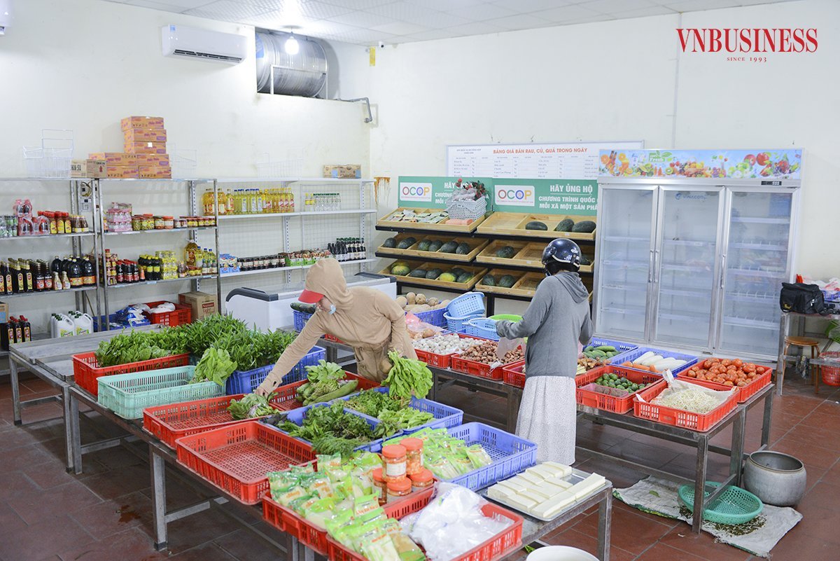 Mô hình trồng rau an toàn mang lại hiệu quả kinh tế cao cho người dân tại HTX Chúc Sơn