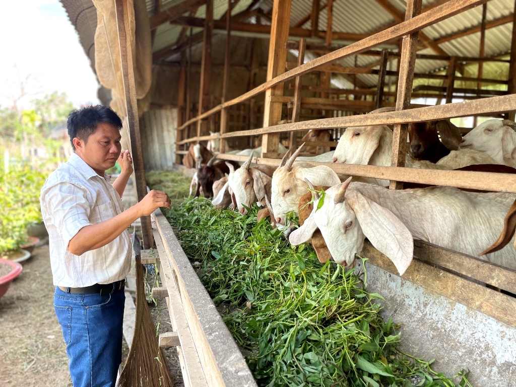 Giảm nghèo bền vững ở Tân Châu kỳ vọng vào sự đột phá của các HTX
