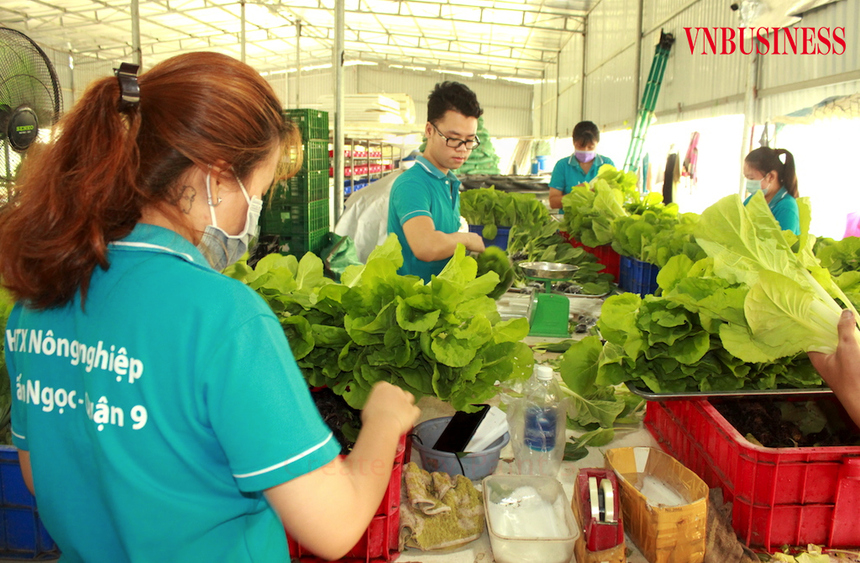 'HTX và sản phẩm OCOP như chim sẻ cần được các địa phương ấp ủ để lớn'