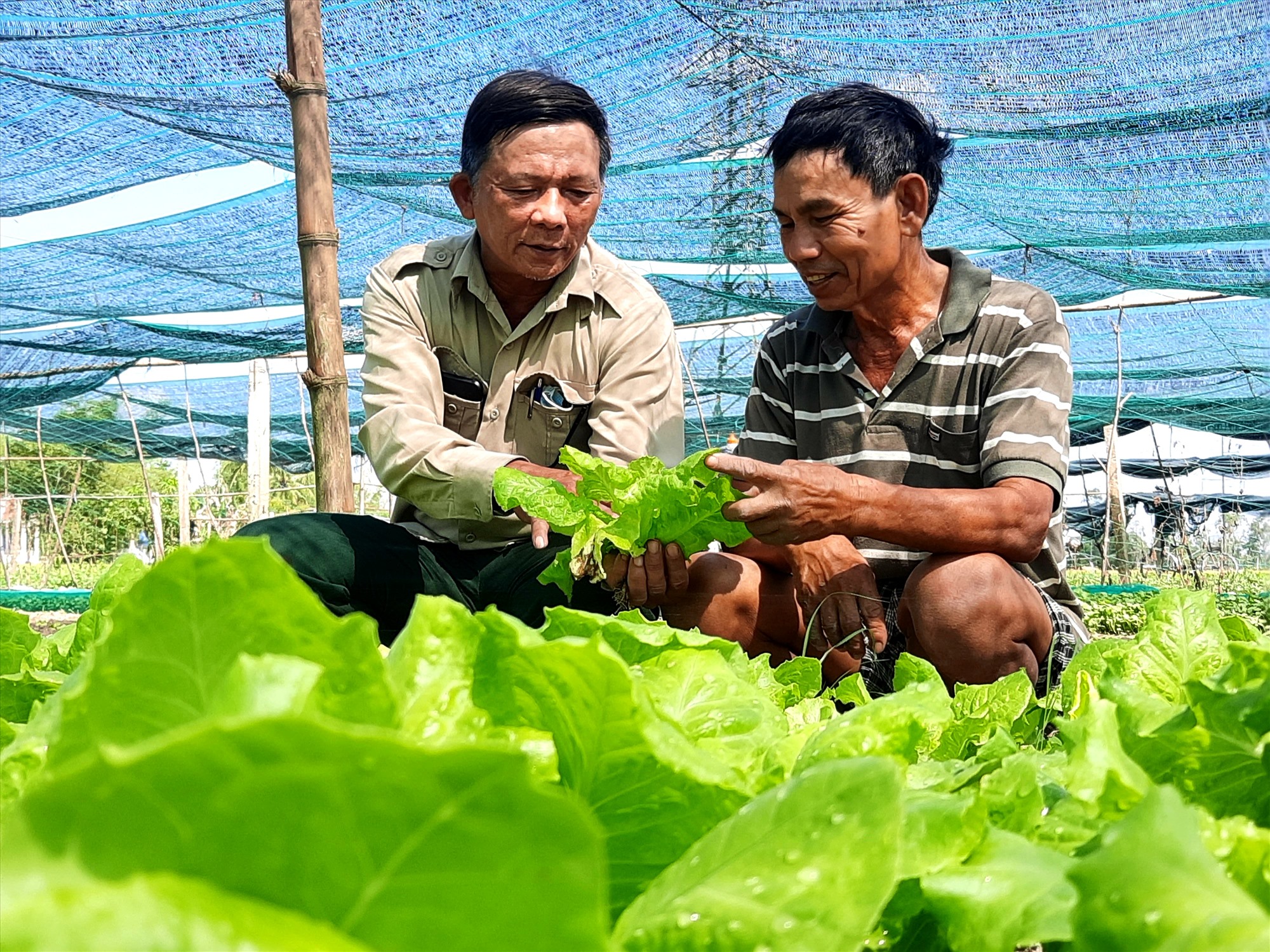 HTX vẫn đơn độc trong tìm kiếm thông tin thị trường