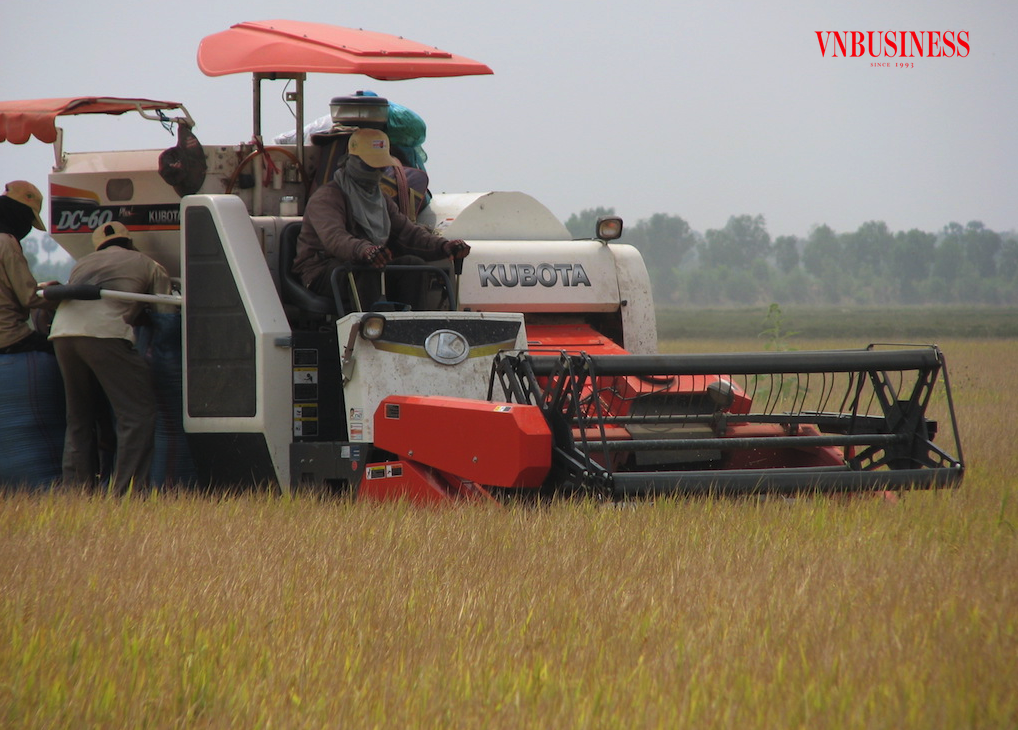 ‘Lợi ích kép’ từ chuỗi cung ứng nông sản Việt có phát thải thấp
