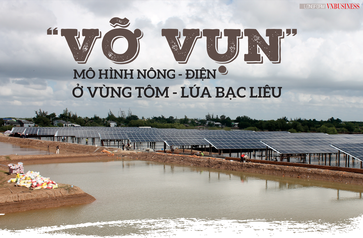 Trăn trở mô hình nông - điện ở vùng tôm - lúa Bạc Liêu