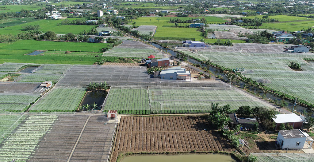 ‘Vai lớn’ của các HTX nông nghiệp đưa Cái Bè sớm về đích nông thôn mới