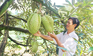 Nông dân Đạ Huoai thắng lớn với nông nghiệp hiện đại