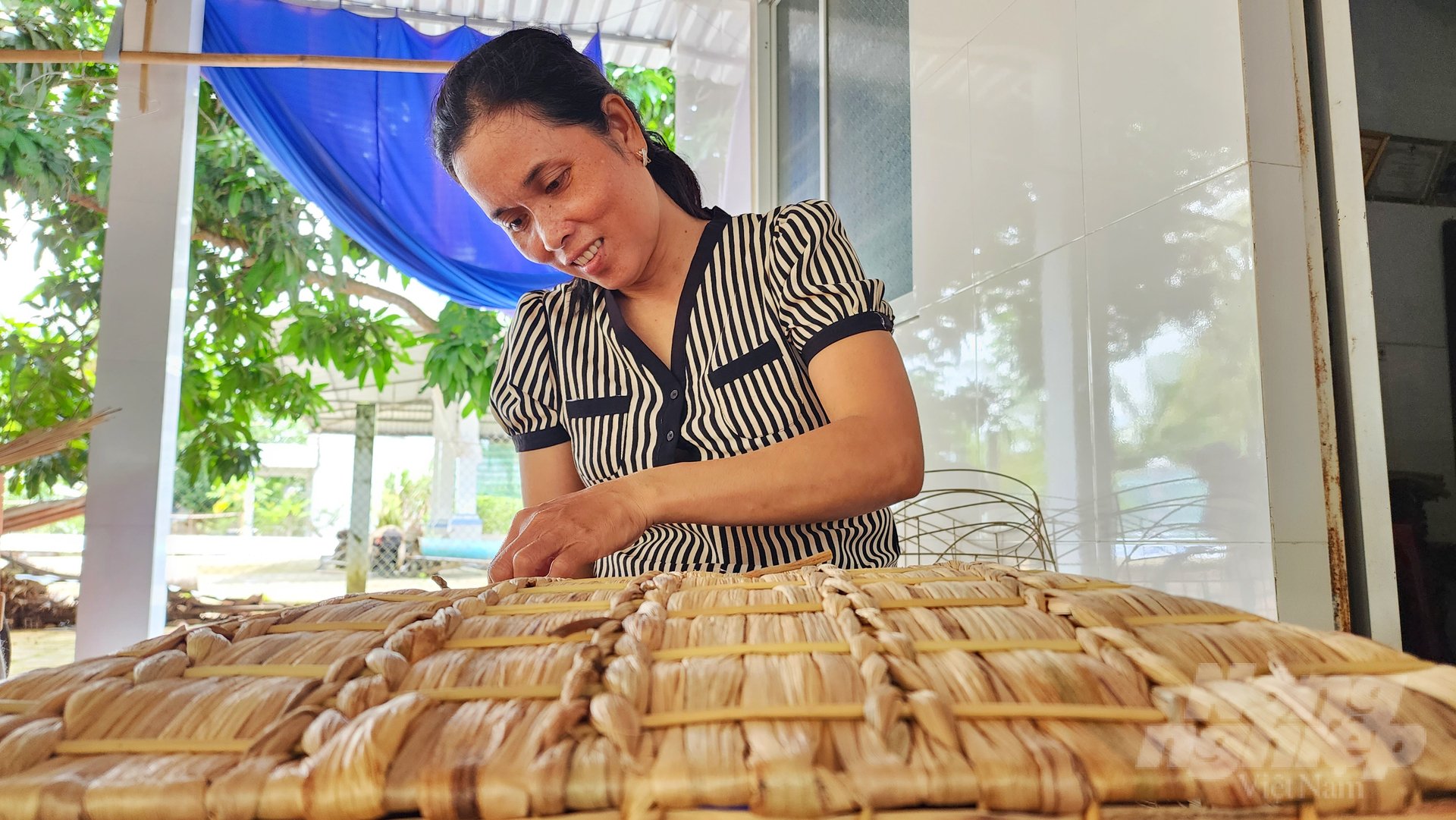 Hiệu quả giảm nghèo từ mô hình HTX tại Cần Thơ