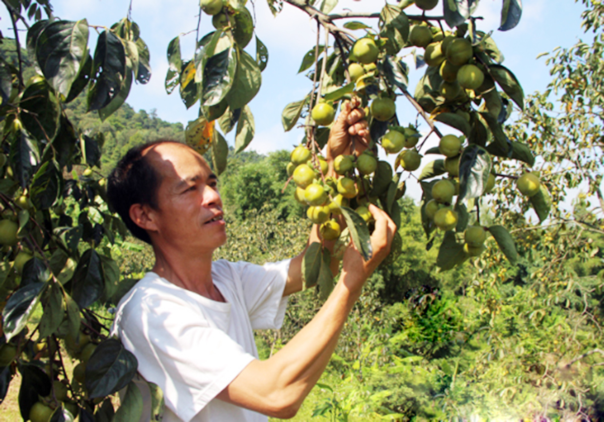 Khởi sắc nông thôn mới huyện Cao Lộc nhìn từ sự thay đổi ngoạn mục ở 'điểm sáng' Gia Cát