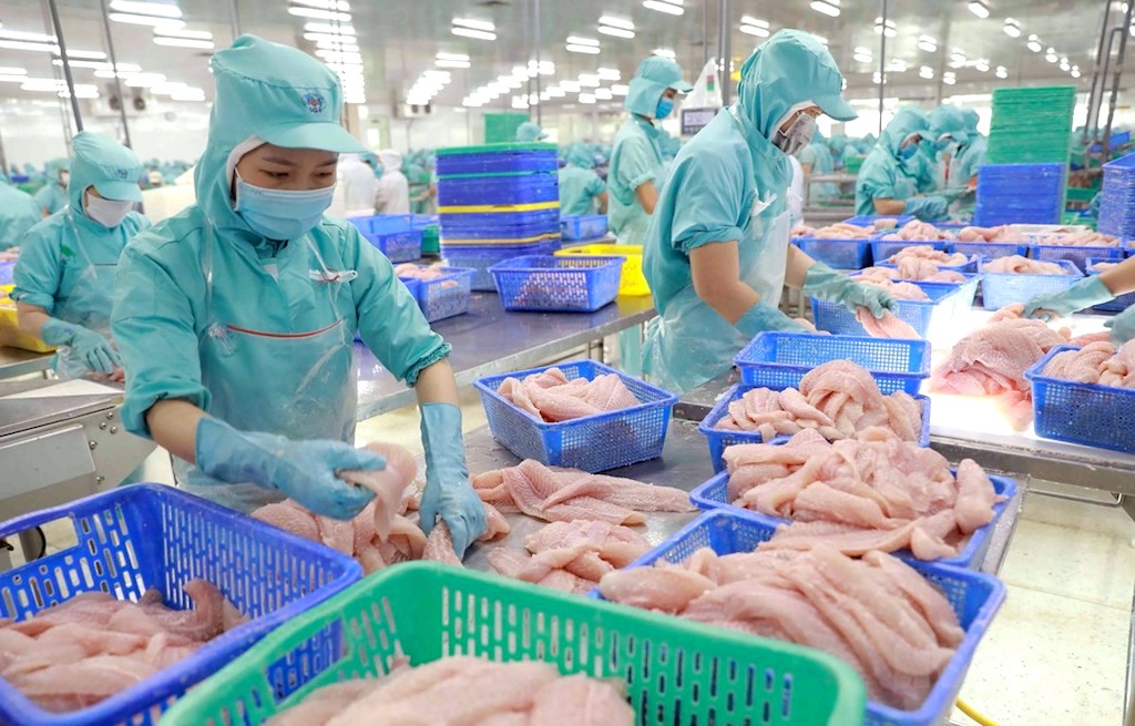 Vì sao đà phục hồi của xuất khẩu cá tra chậm hơn kỳ vọng?