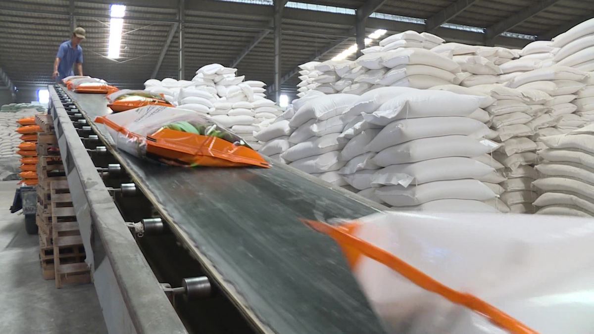 80% nông sản xuất khẩu của Việt Nam không có thương hiệu