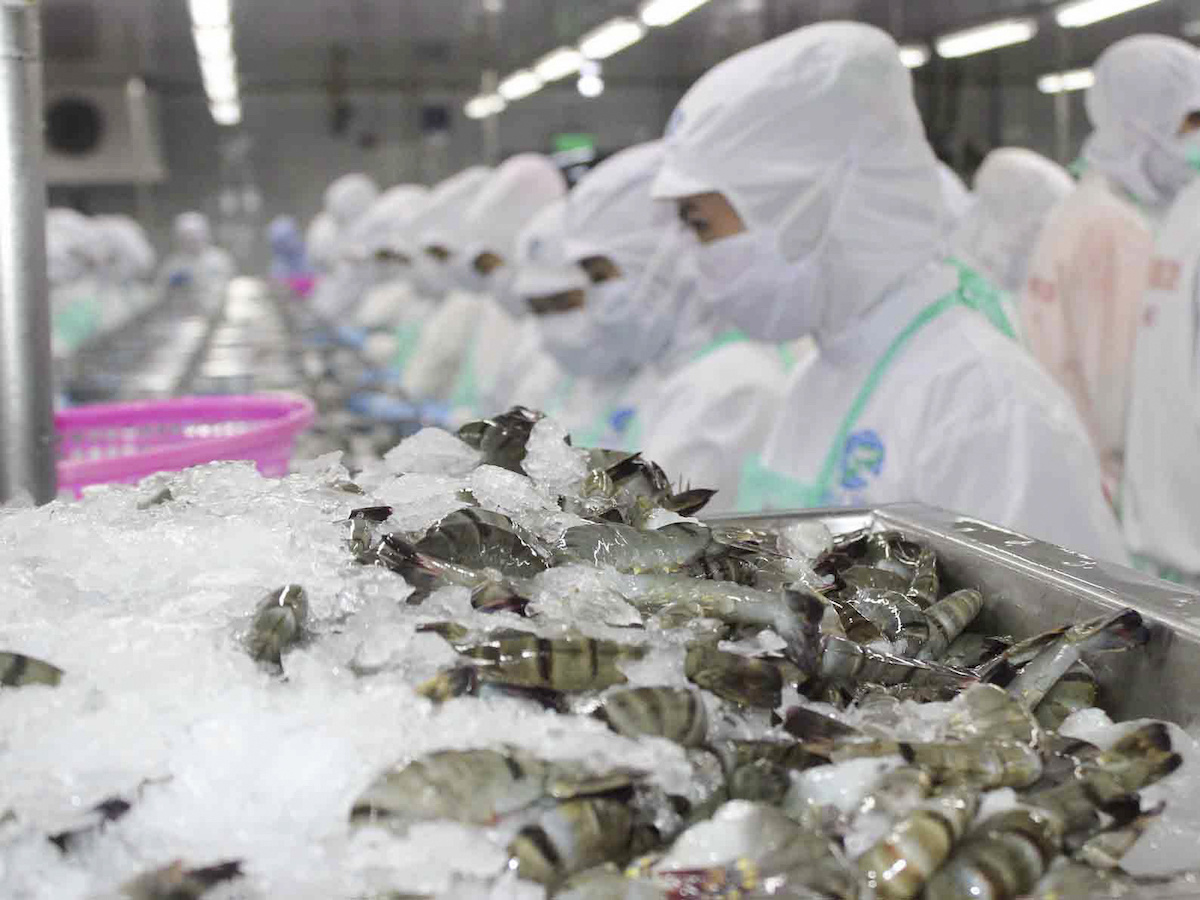 Nhiều dư địa xuất khẩu tôm sang thị trường Trung Đông