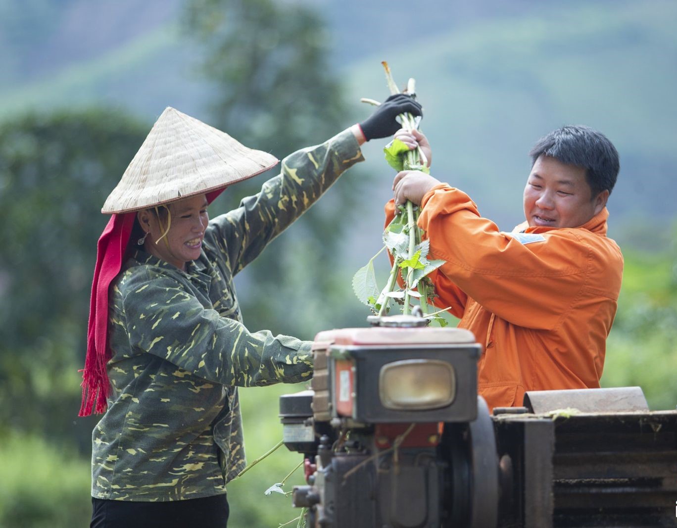 Trợ lực giúp người dân Phù Yên giảm nghèo