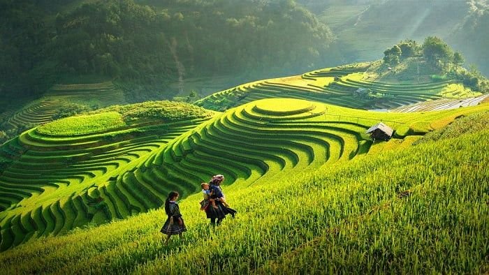 11 tháng, Việt Nam đón 11,2 triệu lượt khách quốc tế
