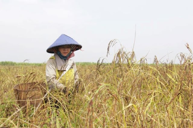 HTX nỗ lực đưa sản phẩm tốt nhất đến tay người tiêu dùng