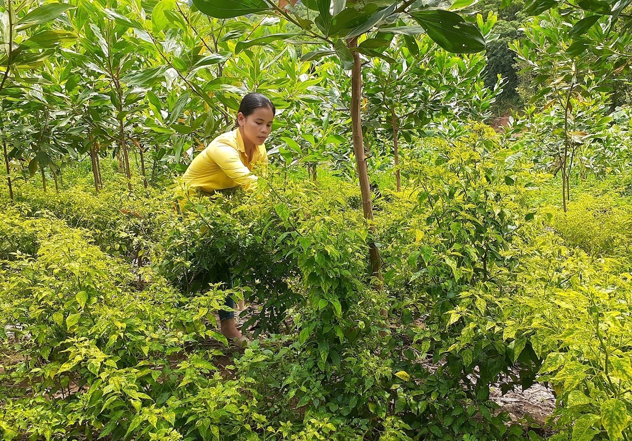 Phá điểm nghẽn đưa người dân thoát nghèo
