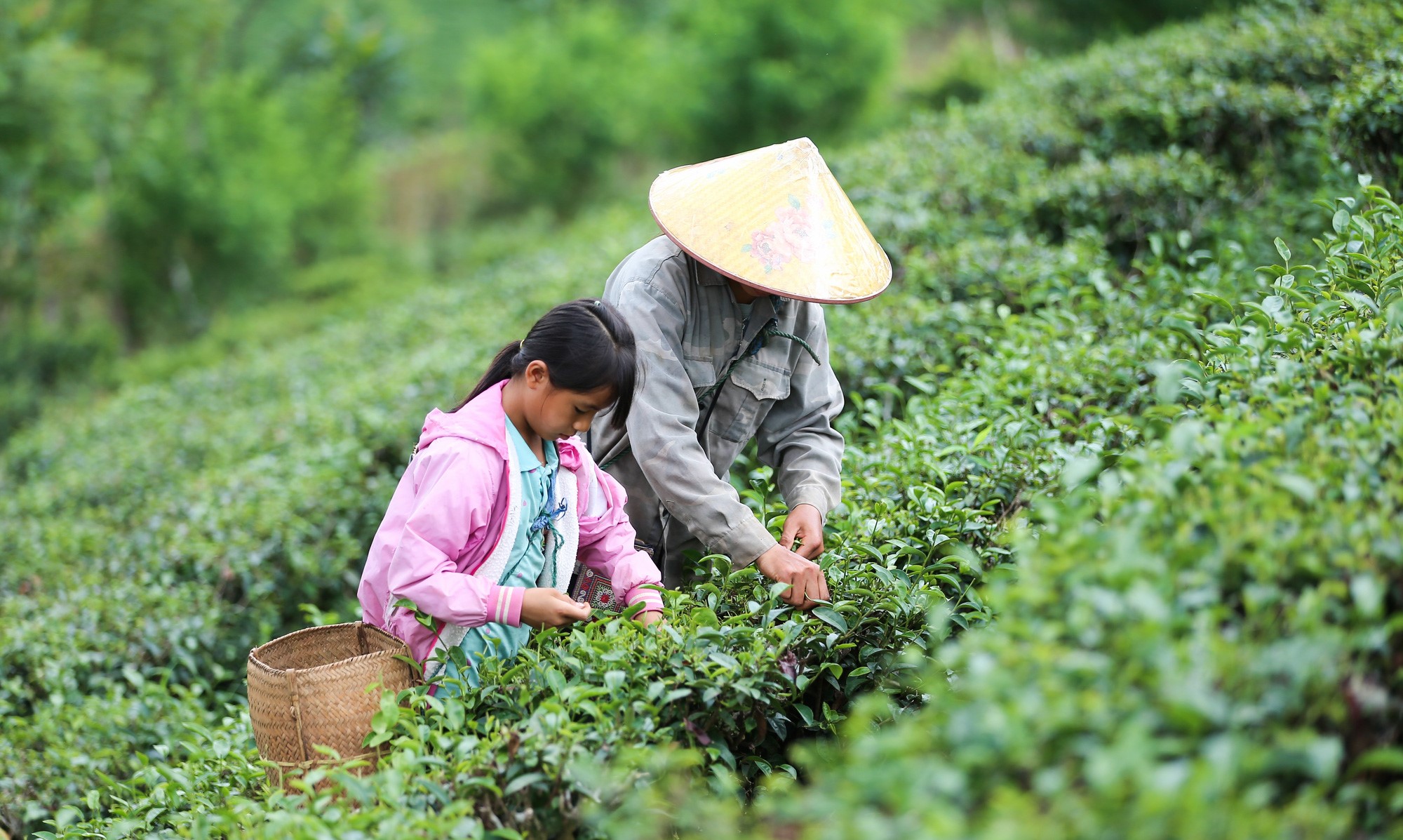 'Trái ngọt' giảm nghèo từ du lịch