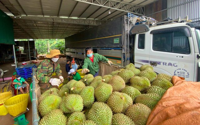 11 tháng, Trung Quốc là thị trường xuất khẩu duy nhất tăng trưởng dương