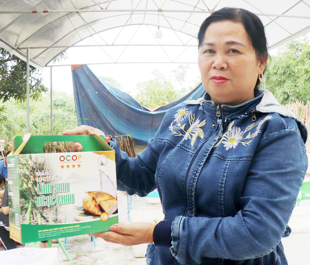 Nông dân từ vỡ nợ đến trở thành tỷ phú nhờ trồng tre lục trúc lấy măng