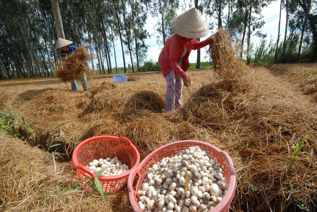 ‘Chìa khóa’ giúp người dân Xuân Lộc rộng cửa thoát nghèo, mở cơ hội làm giàu
