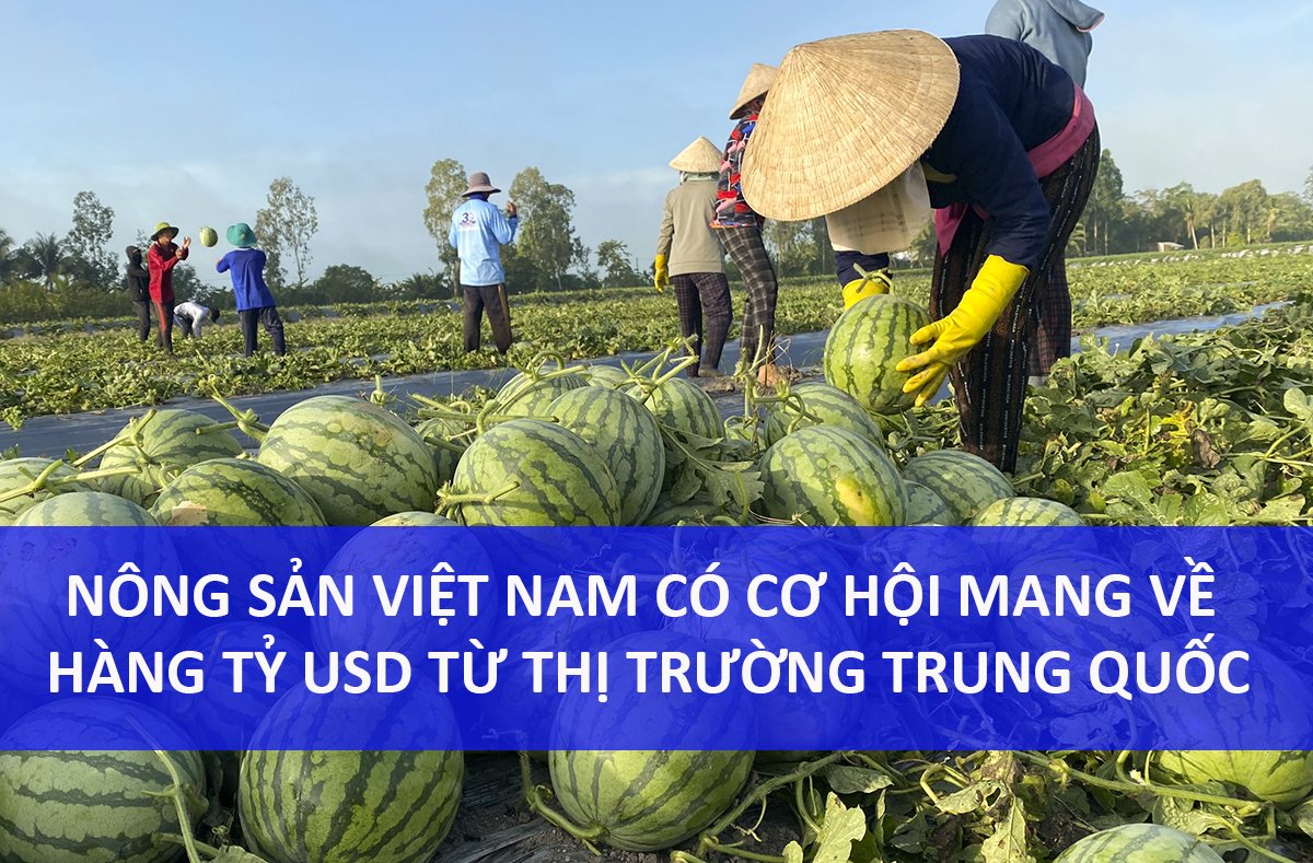 Nông sản Việt Nam và cơ hội mang về hàng tỷ USD từ thị trường Trung Quốc