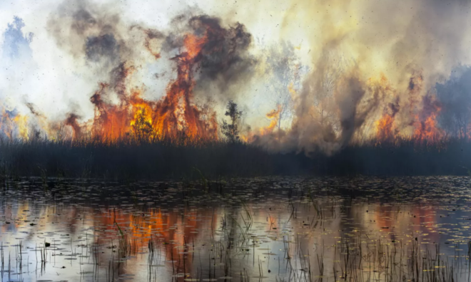 <p>
Nhiếp ảnh gia người Úc, Peter Meyer về nhì với bức ảnh chụp đám cháy rừng ở K'gari, còn được gọi là đảo Fraser, ở Queensland, Australia.</p>