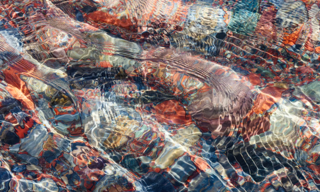 <p>
Bức ảnh Sunlight patterns của nhiếp ảnh gia Canada Andrew Mielzynski, đoạt giải nhì ở hạng mục Nhiếp ảnh gia phong cảnh quốc tế của năm. Những viên đá nhỏ đầy màu sắc hiện lên qua những gợn sóng và hoa văn ánh sáng trên dòng suối nhỏ ở Công viên Quốc gia Hồ Waterton, Alberta, Canada.<br /> </p>
