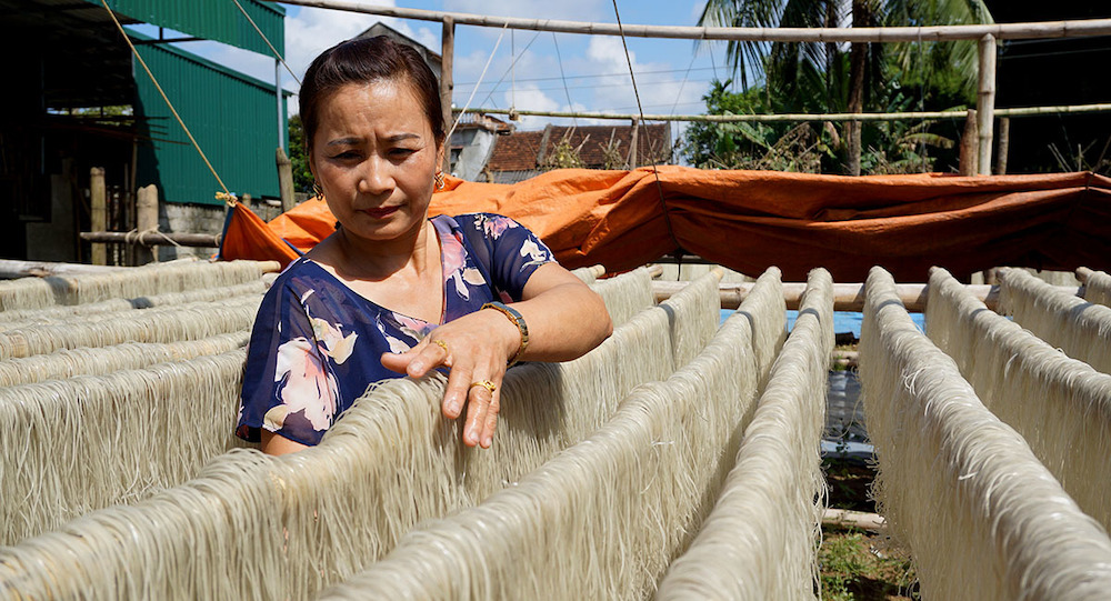 Điện Biên tập trung phát triển HTX giúp xoá đói giảm nghèo