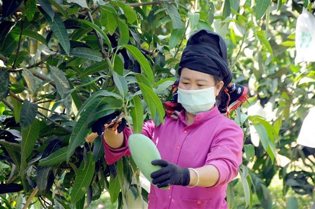Yên Châu đi đầu trong giảm nghèo