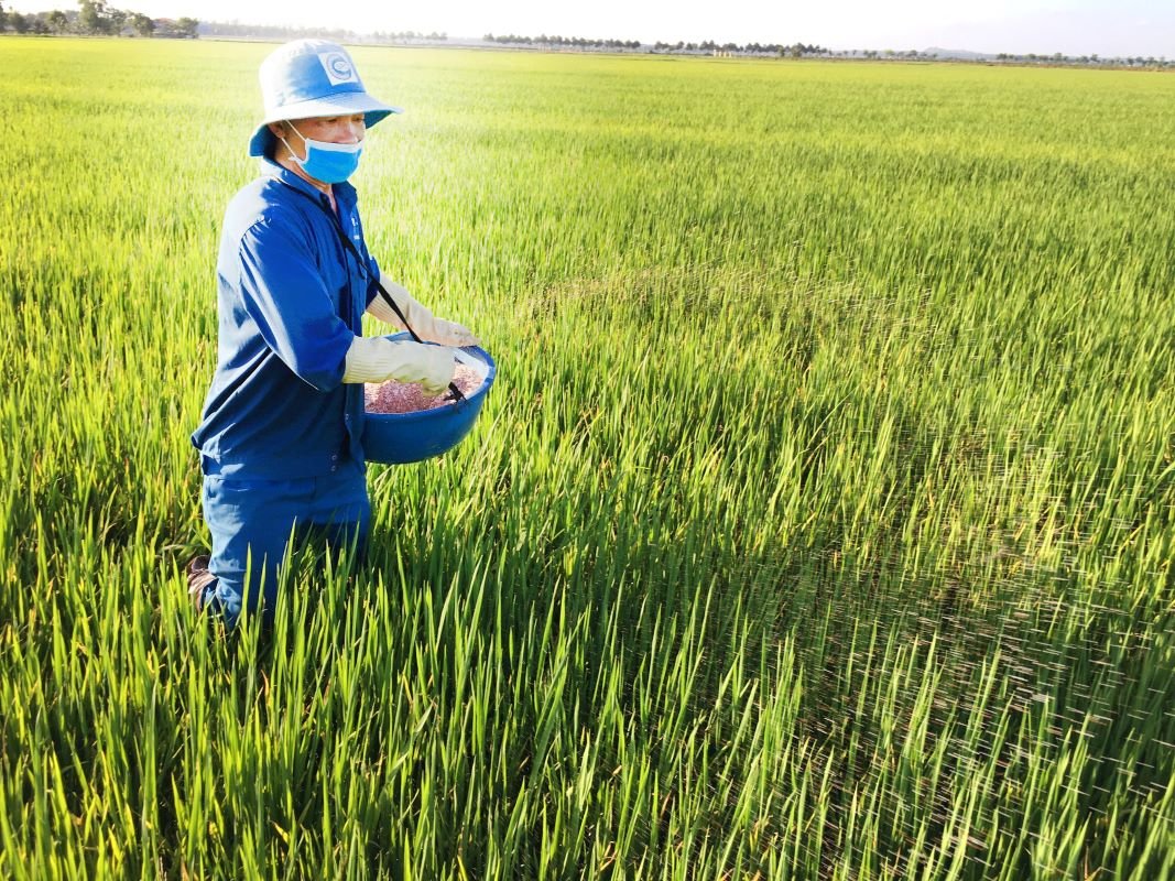 Giá vật tư nông nghiệp tăng 'chóng mặt', HTX, doanh nghiệp mong có giải pháp ứng phó