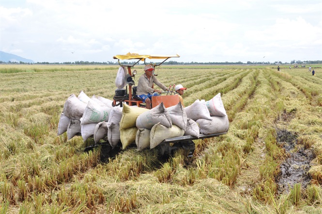 Hòn Đất tiếp sức cho người dân thoát nghèo