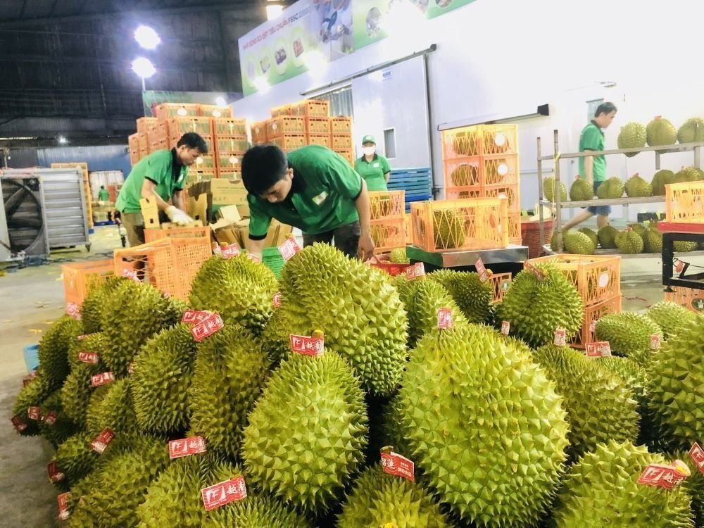 GDP ngành nông nghiệp ước đạt 3,83% cao nhất trong nhiều năm