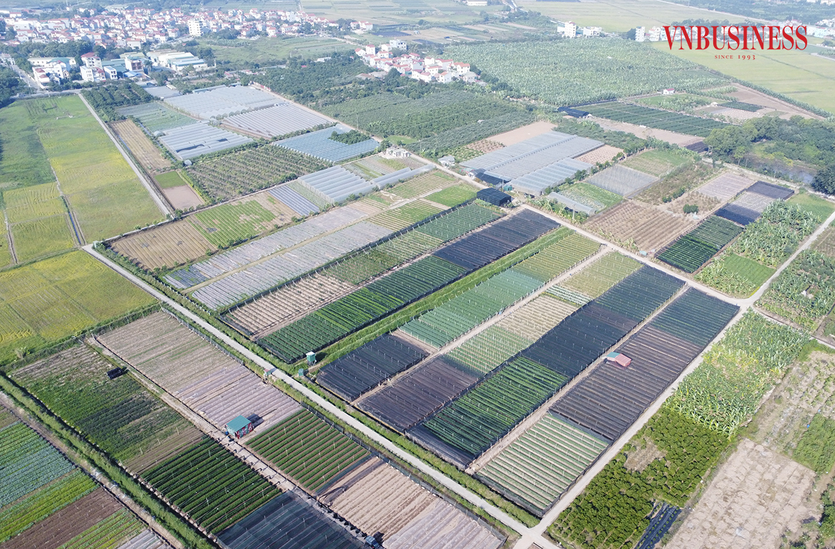 Điểm sáng HTX trong chuỗi sản xuất an toàn thực phẩm