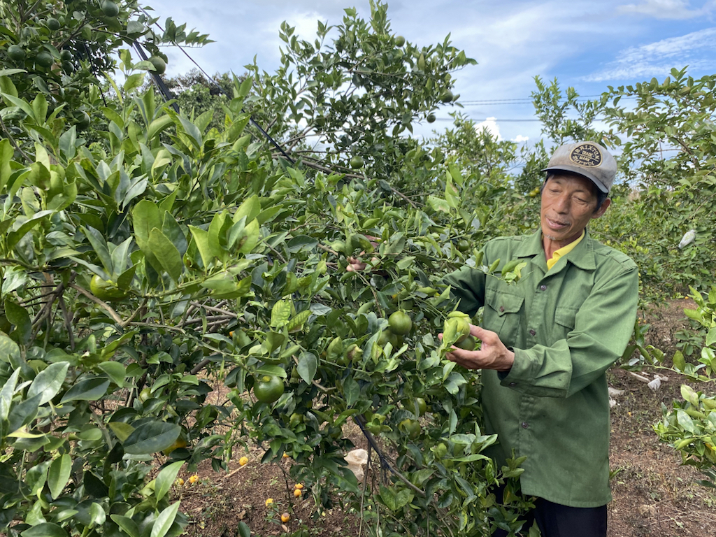 Chuyển biến kinh tế hợp tác giúp người dân Vĩnh Cửu thêm động lực vươn lên