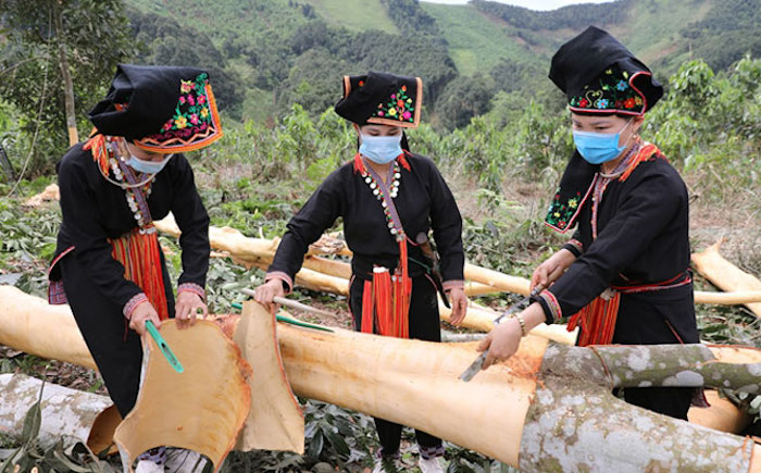 Chuyện ‘trao cần câu’ giảm nghèo ở Yên Bái