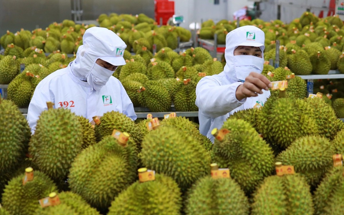 Năm 2024, nông sản Việt sẽ 'bội thu' ở thị trường Trung Quốc?