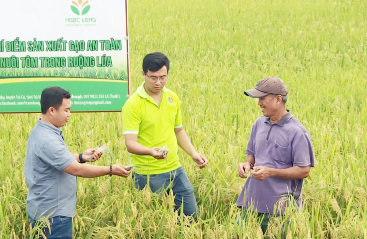 Chuyện khởi nghiệp của 'ông chủ' thương hiệu gạo Hạt Ngọc Rồng